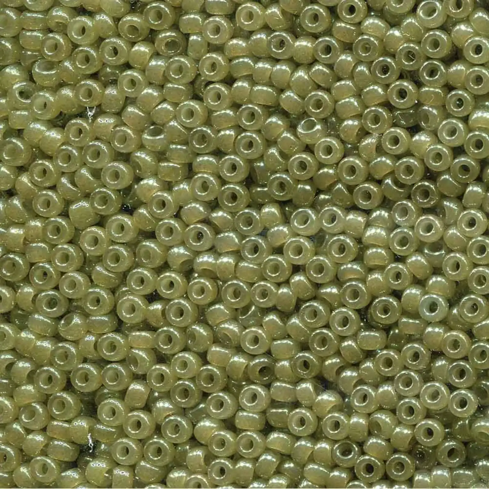 Miyuki 8/0 Seed Beads, 8-2374, Celery, 10g