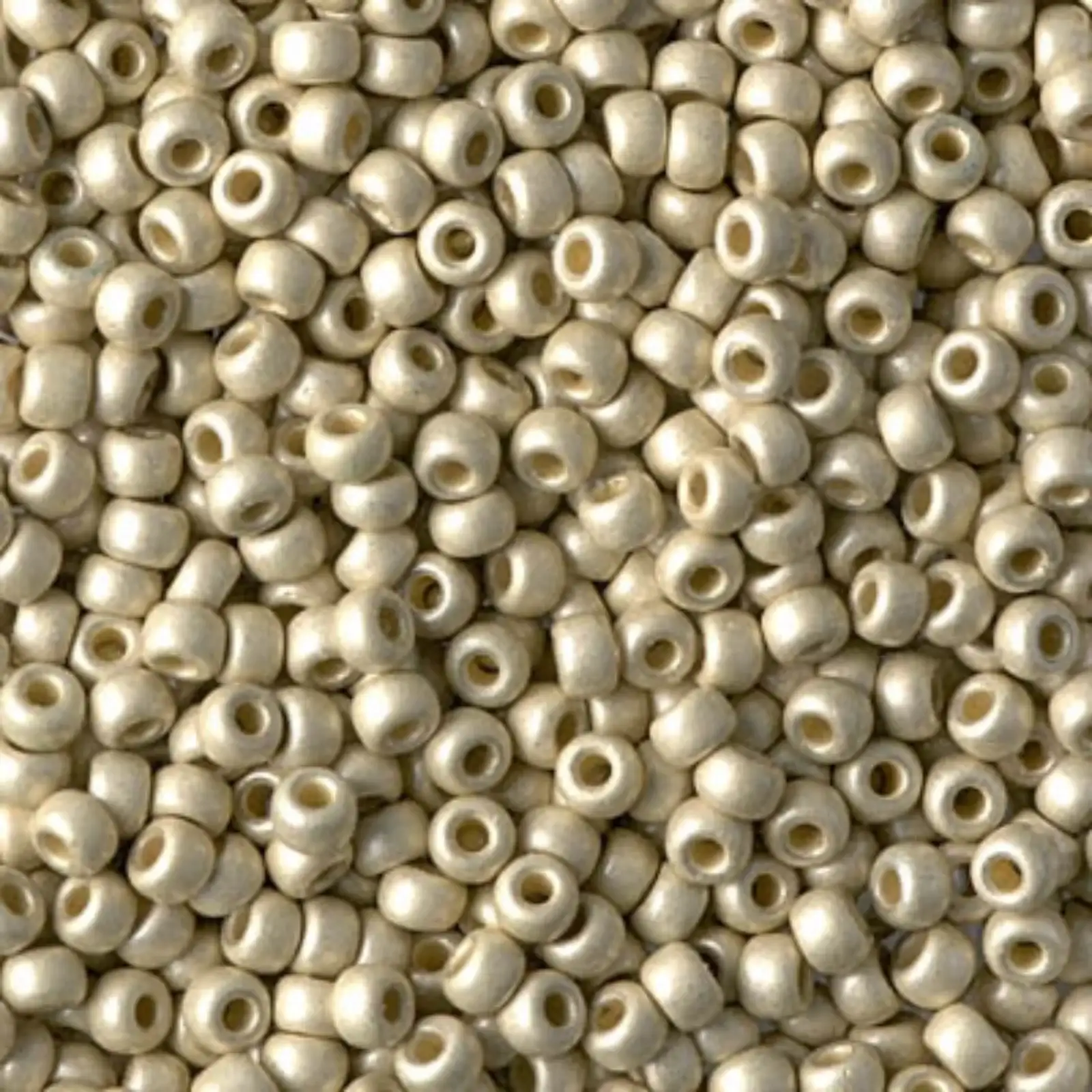 Miyuki 8/0 Seed Beads, 8-4201F, Duracoat Matte Galvanized Silver, 10g