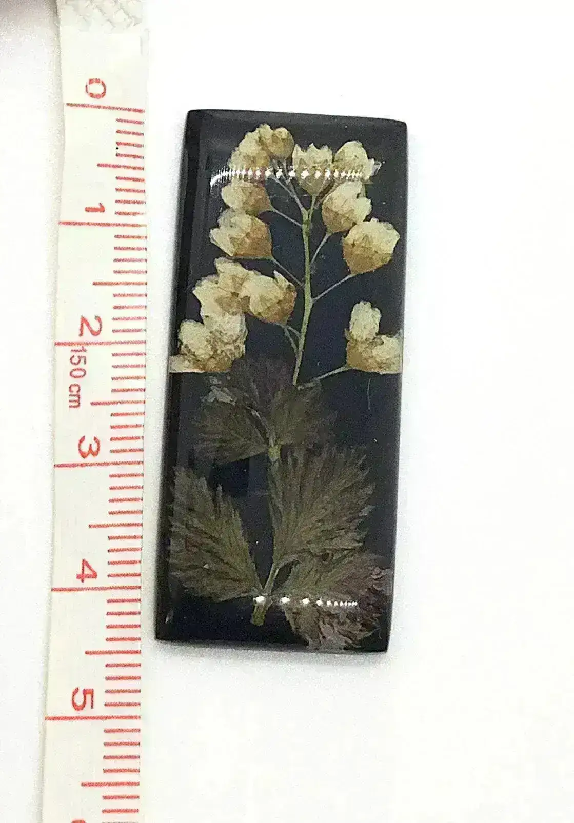 Upland Cabochons, 45x28mm, Handmade with Real Dried Plants & Flowers - Image 2