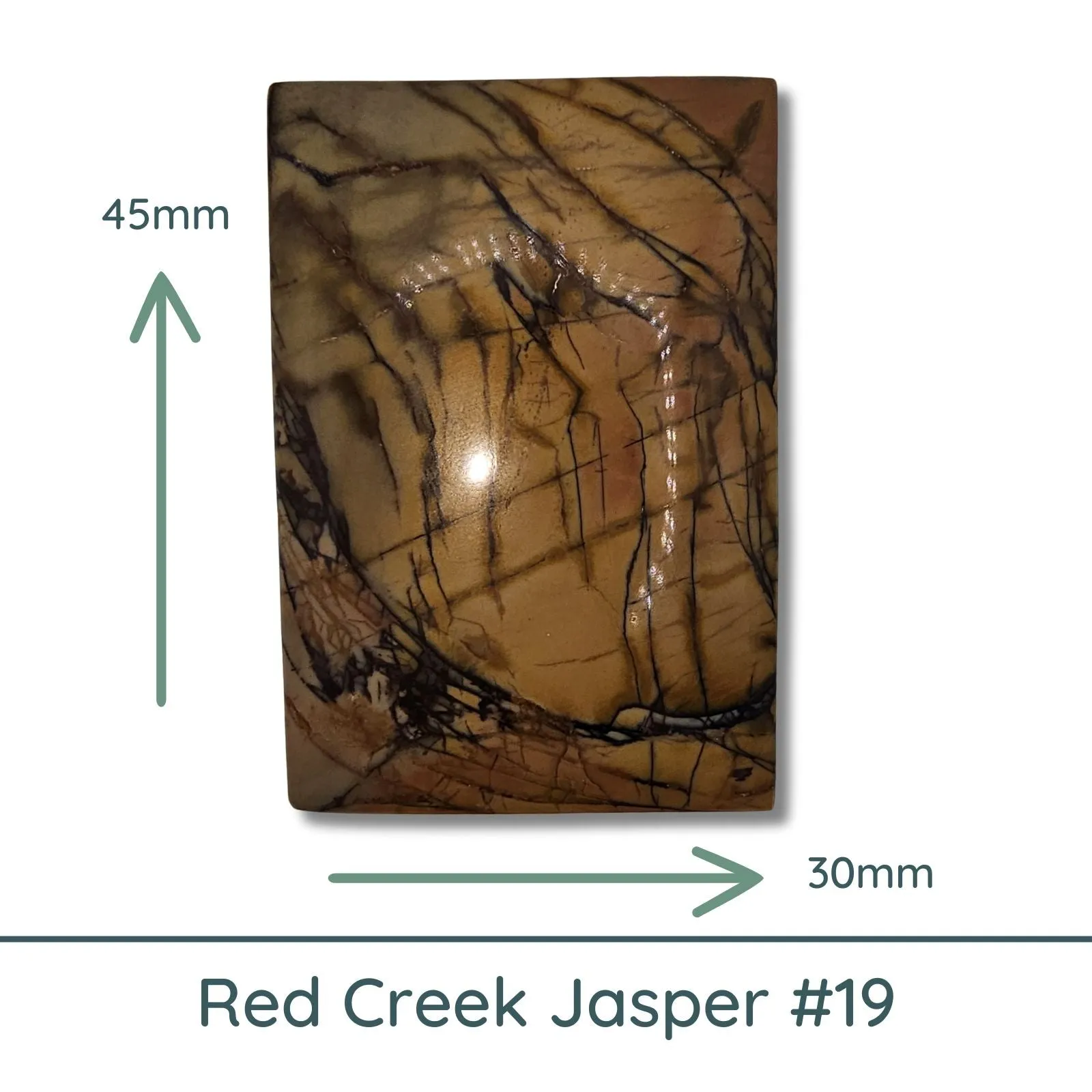 Red Creek Jasper Cabochon #19