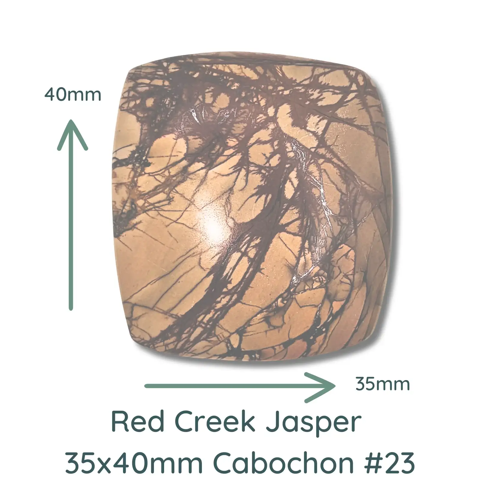 Red Creek Jasper Cabochons, 36mm Square & 35x40mm