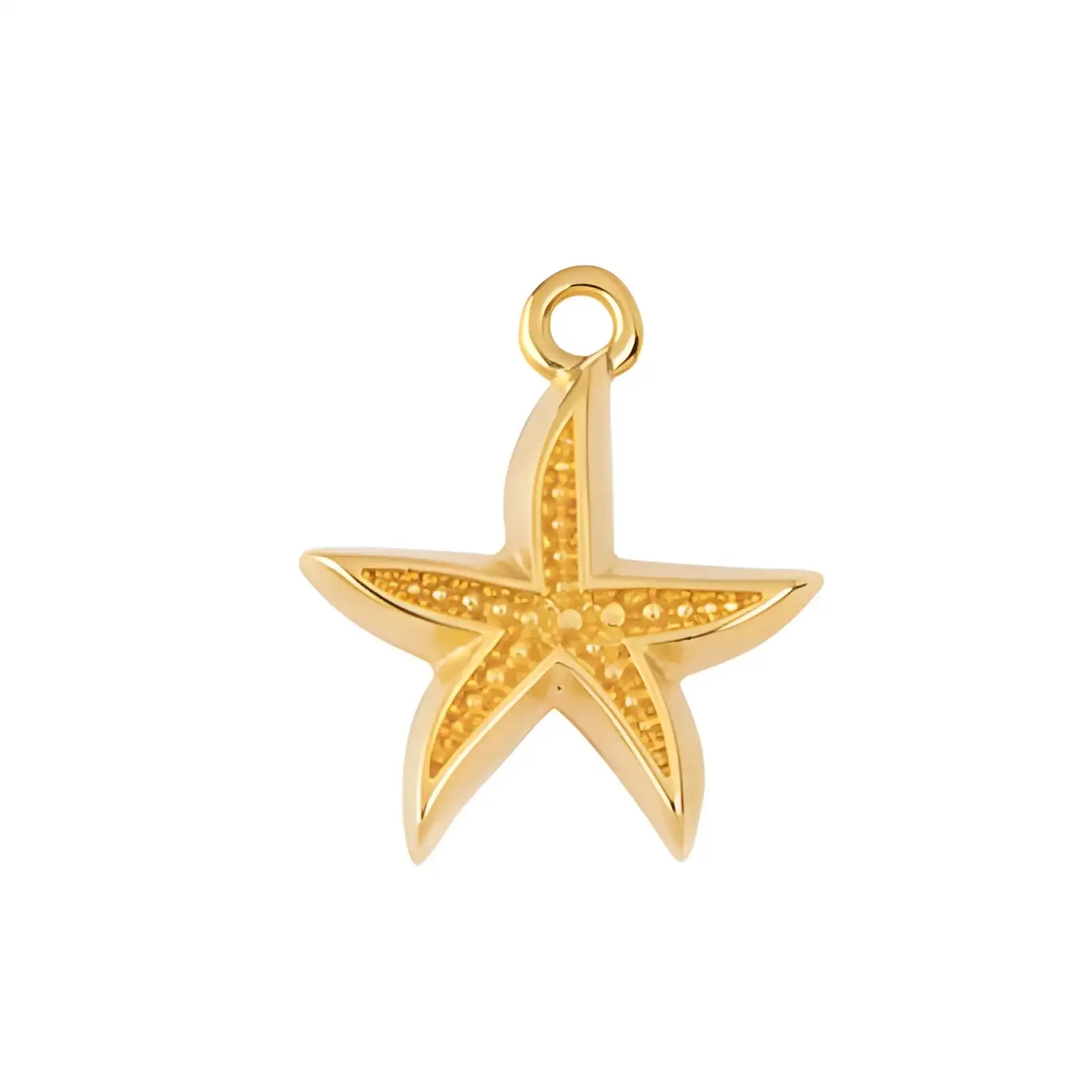 Tidal Starfish Charm or Pendant - Image 3
